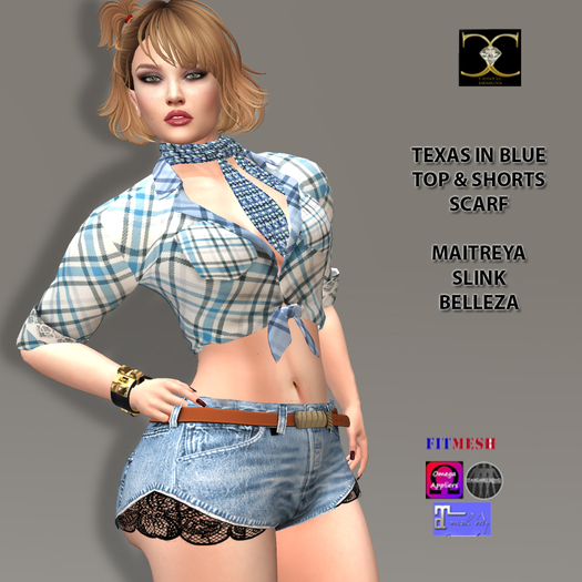 TEXAS IN BLUE