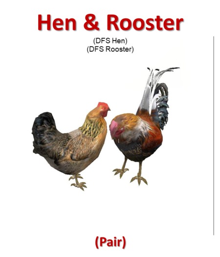 DFS Hen & DFS Rooster (Texture)