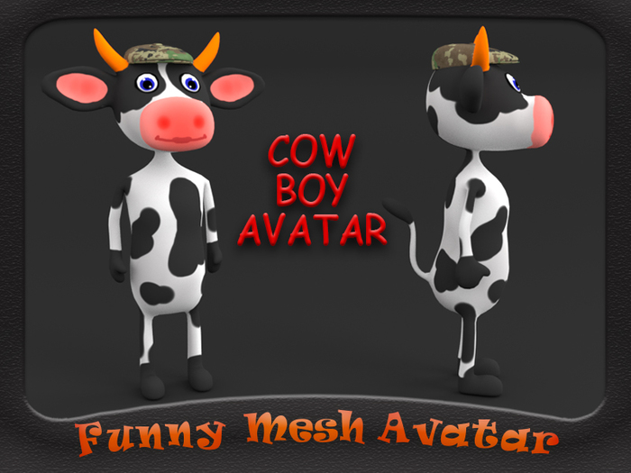 FUNNY COW BOY