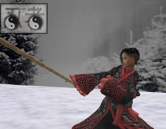 Ninja ~ Long Stick Bo & Hud