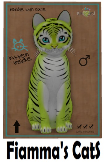 KittyCatS Box - Tiger! - Chartreuse