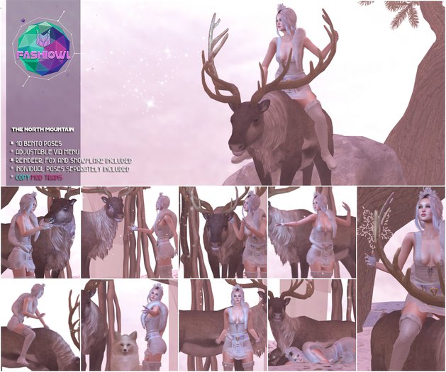 Fashiowl - The North Mountain