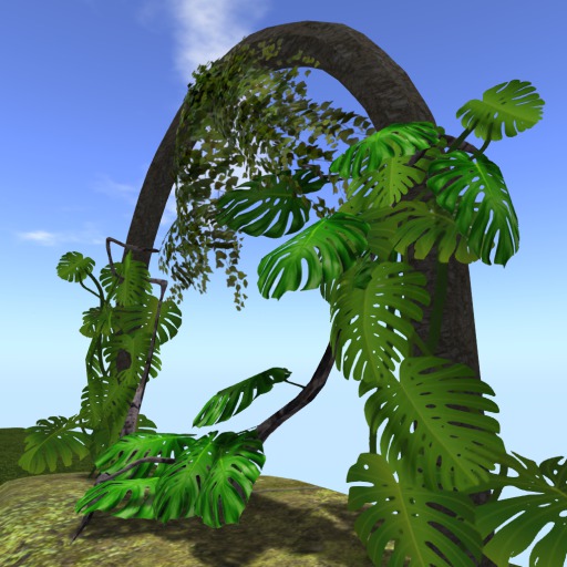 AUBC ARCH with Tropical plants  