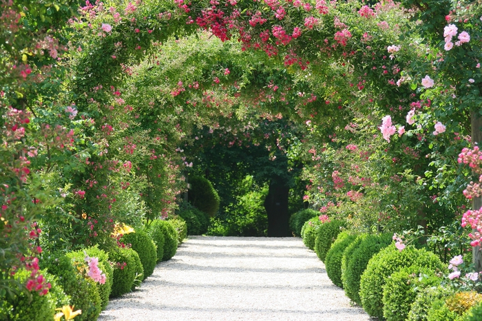 Background texture of an arch of flowers