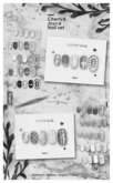 MIWAS / Joyce & Cherry Nail (Bento) DEMO Size 