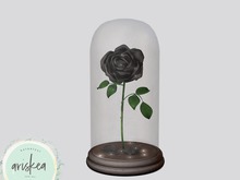 Ariskea[Debra] Roses Curiosity[Black]