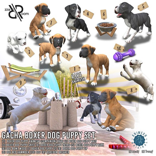[Rezz Room] Pack Boxer Dog Puppy Intrig