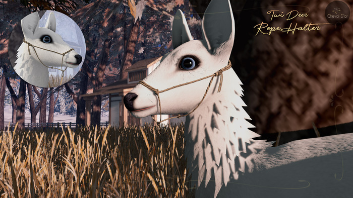 Cheval D'or / TWI Deer /  Rope Halter.