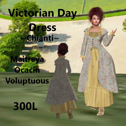 Victorian Day Dress