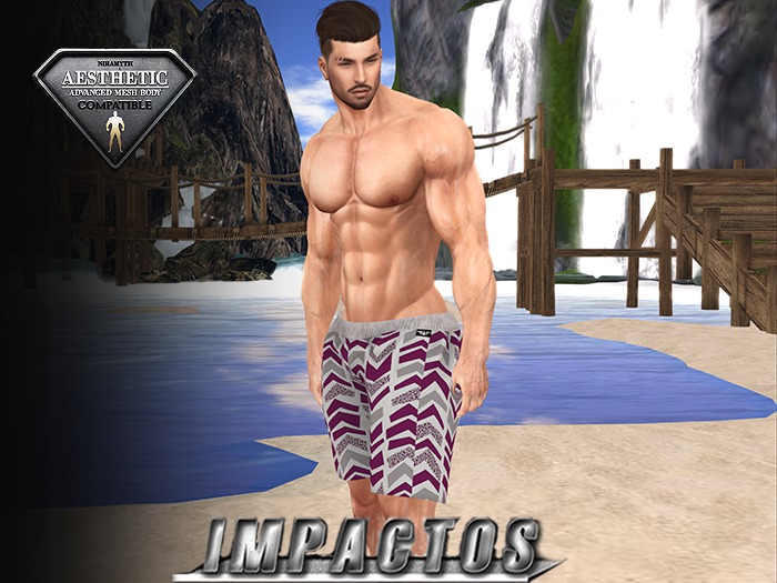 IMPACT-22 Sport Shorts Aesthetic