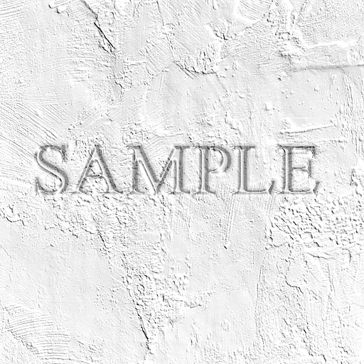 Zoy Texture [ Wall ] CLEAR WHITE