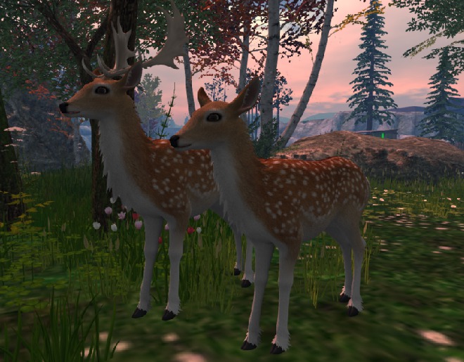 TWI Deer Fallow Deer Shapes