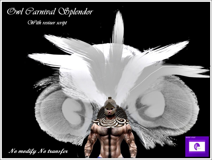 OWL CARNIVAL SPLENDOR #2.6 Vendor MP