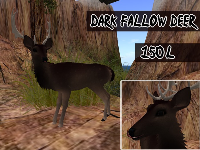 Twi Deer Texture - Dark  Fallow Deer