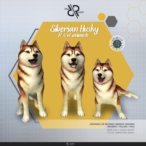 [Rezz Room] Pack Siberian Husky R/W  Adult Animesh  (companion)