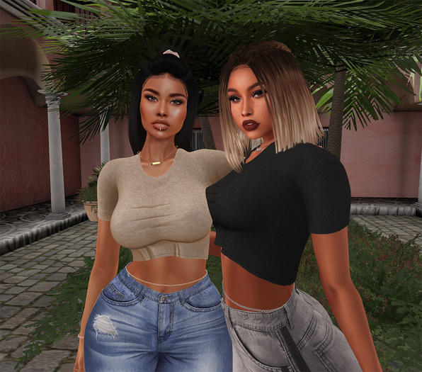 /\- Wait Up Crop Top DEMO 