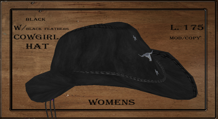 Black Cowgirl Hat w/ Steer & Feathers