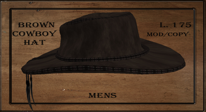 Brown Cowboy Hat Boxed