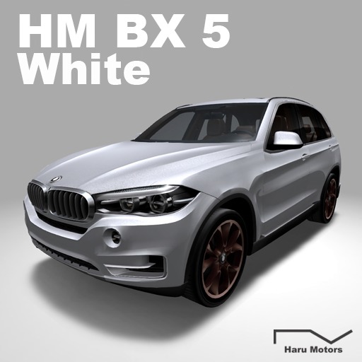 HM BX5 White-BOX