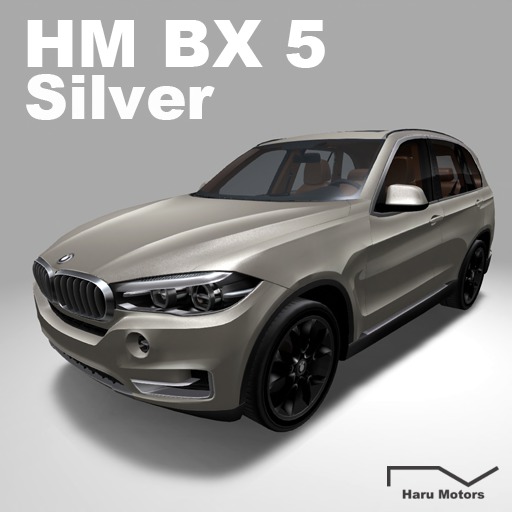 HM BX5 Silver-BOX