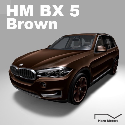 HM BX5 Brown-BOX