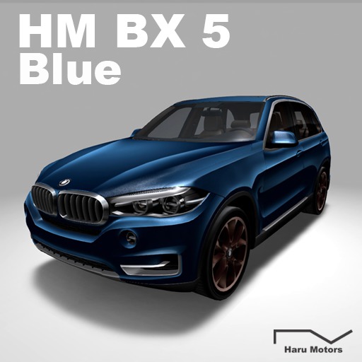 HM BX5 Blue-BOX