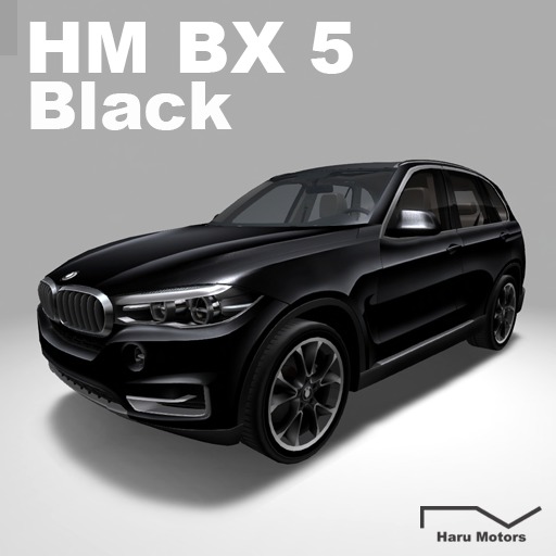 HM BX5 Black-BOX