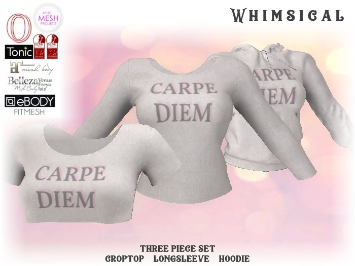 [Whimsical] Girl's Mesh Tops - Carpe Diem