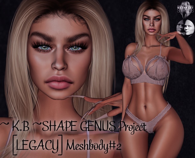 ~ K.B ~SHAPE GENUS Project [LEGACY] Meshbody#2