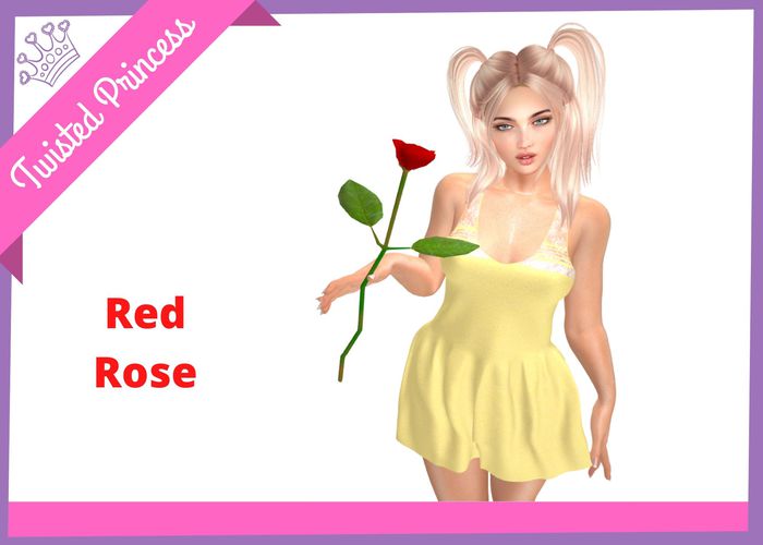 TP - Rose long Stem Red -packer