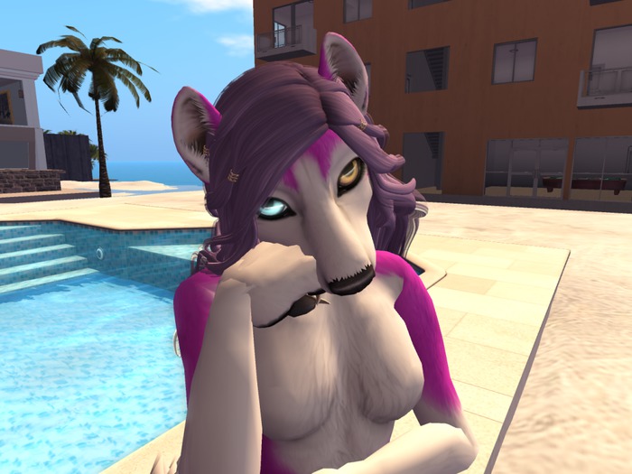 *CT* KZK Husky V3 Mesh Hair Fix