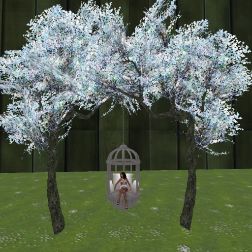 Tree With Relaxing Cage Boxed