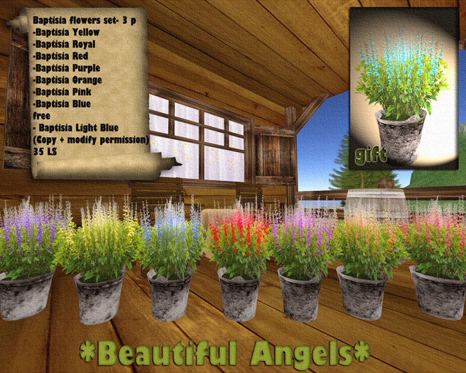 Baptisia flowers set