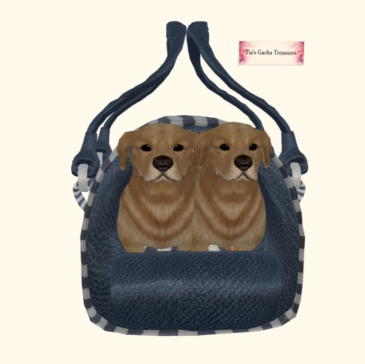 *TT* Home for puppys LAB RARE