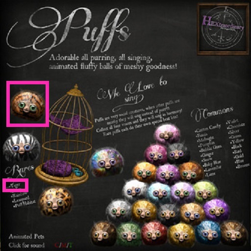 *HEXtraordinary* Tiger Puff - (Box) RARE