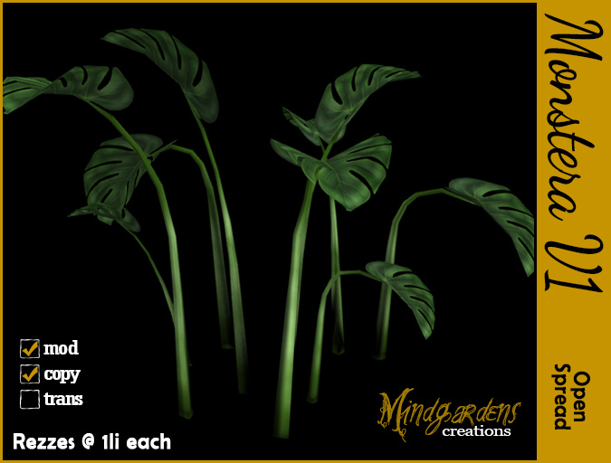 MG - Monstera Plant Open Spread v1