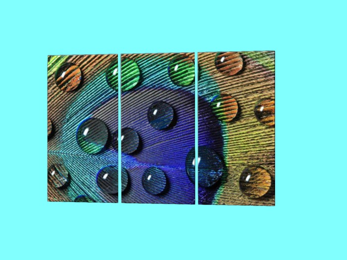 Split Home Art-Water drops