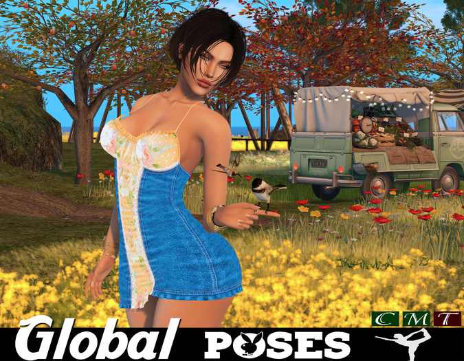 .:GB POSES 296:. Birds