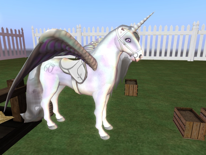 Amaretto Breedable Bundle White Arabian Coat