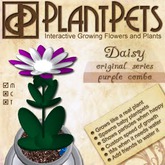 PlantPet Seed [Daisy *Original Purple Mosaic*](RARE VINTAGE)