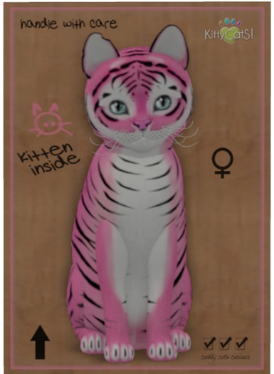 KittyCatS Box - Tiger! - Pinkie Winkie