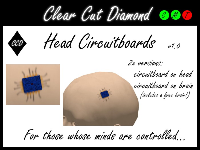 Circuitboards on head and brain (by CCD)