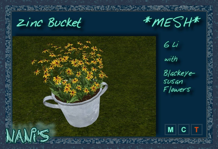 NANI's Zinc Bucket Blackeyesusan