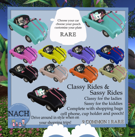 NACH Classy Car Sage (Attach Me)