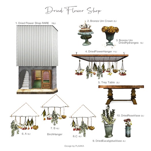 PLAAKA - Dried Flower Shop RARE