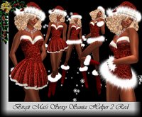 Birgit Mai's Sexy Santa Helper Red 2 (BOXED)