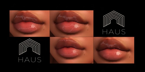 HAUS - Wet Lipz Omega Applier