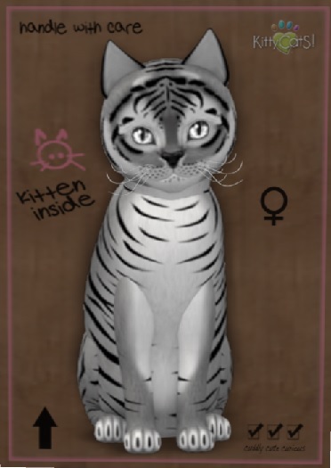 KittyCatS Box - 7T F Tiger! - Shadow Divine