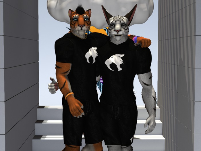 ZAF Sabercat Basic Clothes [ Saber Logo ]