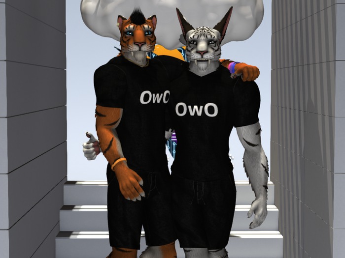 ZAF Sabercat Basic Clothes [ OWO ]
